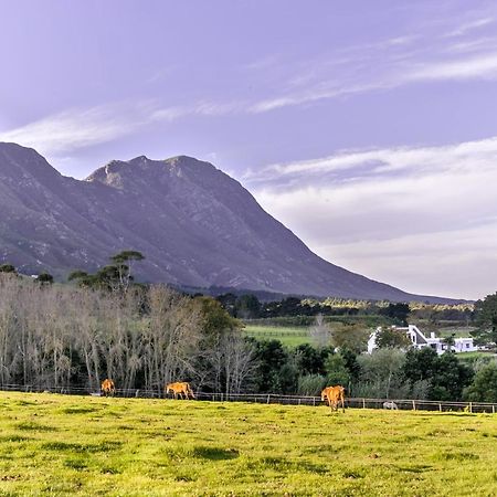 Hotel Hemel 'N Aarde Stud Hermanus Exterior foto