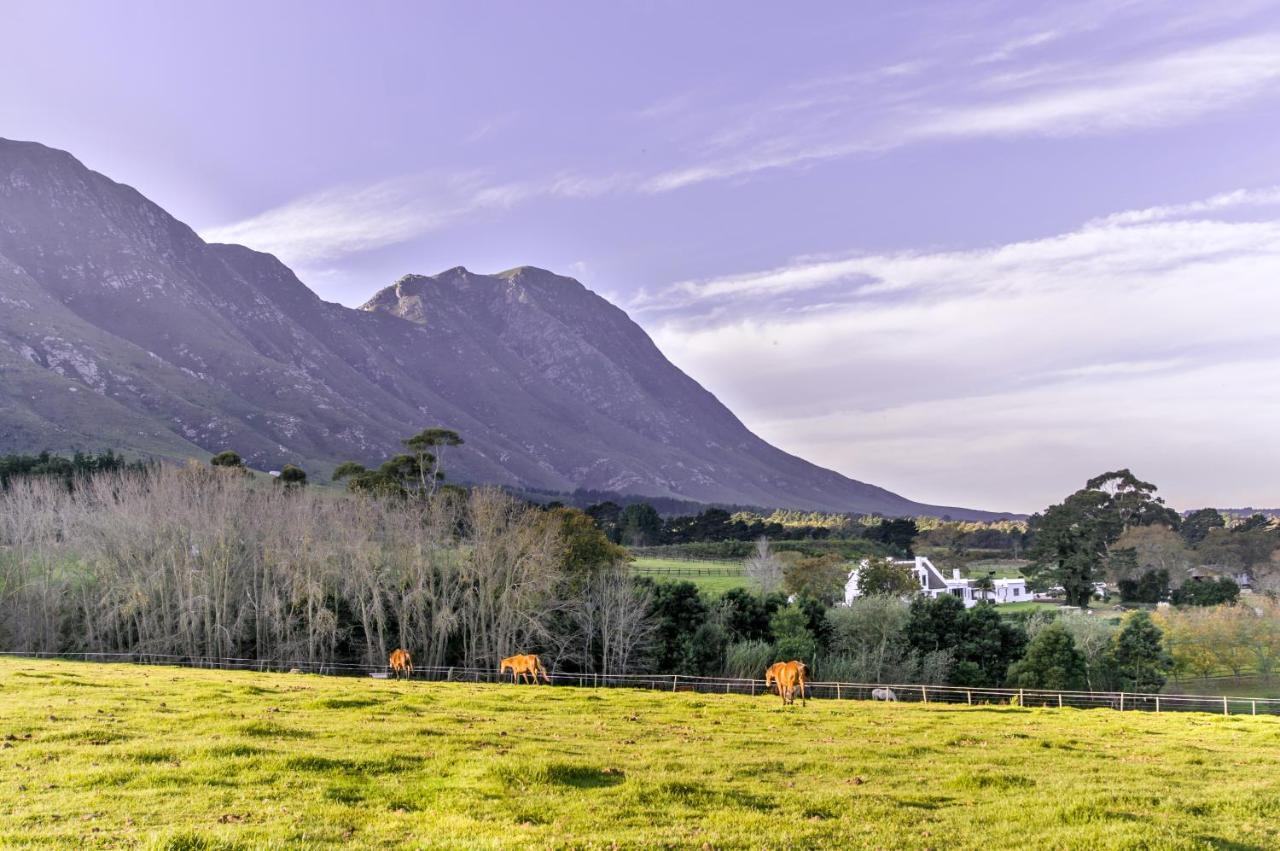 Hotel Hemel 'N Aarde Stud Hermanus Exterior foto